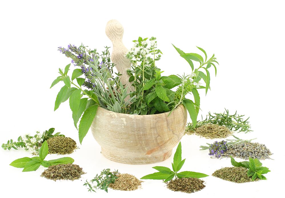Plantenextracten in de samenstelling van het product